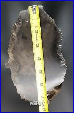 AMAZING Polished Petrified Wood! Great color and patterns. Over 18lbs. Lot # W-8