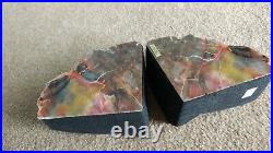 ARIZONA PETRIFIED WOOD BOOKENDS Felt Edge Rainbow Colors 5 1/2 x 9 1/2. 9 lbs