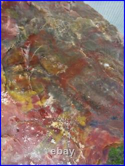 ARIZONA RAINBOW PETRIFIED WOOD BEAUTIFUL COLOR 64lbs13'' x 8'' x 8 1/2'' Tall
