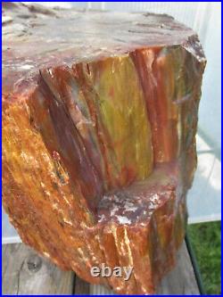 ARIZONA RAINBOW PETRIFIED WOOD BEAUTIFUL COLOR 64lbs13'' x 8'' x 8 1/2'' Tall