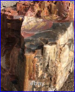 ARIZONA RAINBOW PETRIFIED WOOD BEAUTIFUL COLOR Painted DOBELL 32lb 12oz
