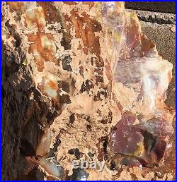 ARIZONA RAINBOW PETRIFIED WOOD BEAUTIFUL COLOR Sunburnt Painted DOBELL 45lb