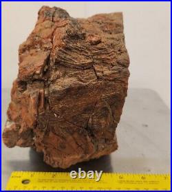 ARIZONA Rough Large Chunk PETRIFIED WOOD About 16 Lb
