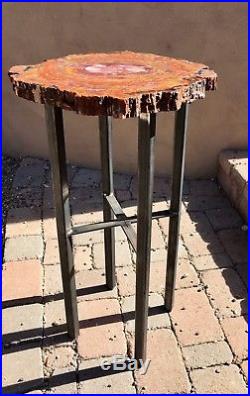 AZ Petrified Wood Table