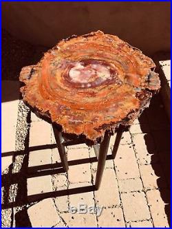 AZ Petrified Wood Table