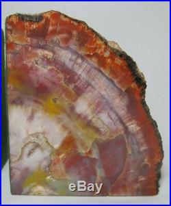 AZ Rainbow Petrified Wood Bookends 8-1/2 lbs