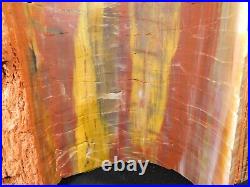 A GIANT! Colorful CUT Petrified Rainbow Wood Fossil Arizona 9795gr
