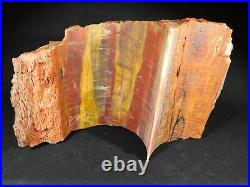 A GIANT! Colorful CUT Petrified Rainbow Wood Fossil Arizona 9795gr