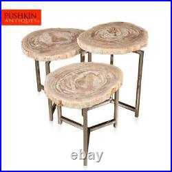 A Nest Of Three Petrified Wood (fossil) Tables On Chrome Bases