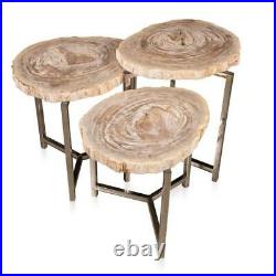 A Nest Of Three Petrified Wood (fossil) Tables On Chrome Bases