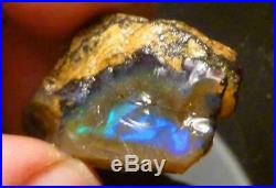A+ Virgin Valley Precious Black Opal Petrified Wood Log Nevada 59.4 carats