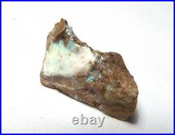A+ Virgin Valley Precious Opal Petrified CONK Wood Nevada 5.5 carats