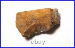 A+ Virgin Valley Precious Opal Petrified CONK Wood Nevada 5.5 carats
