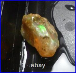 A+ Virgin Valley Precious Opal Petrified Wood Log Nevada 57 carats