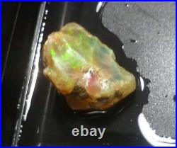 A+ Virgin Valley Precious Opal Petrified Wood Log Nevada 57 carats