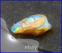 A+ Virgin Valley Precious Opal Petrified Wood Log Nevada 9.7 carats