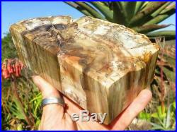 African Petrified Wood Book Ends