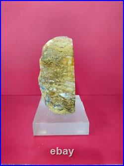 Agate crystal in petrified wood polished with base 825gr 5x8x11cm (61)