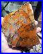 Agatized_Cathedral_Valley_Utah_hxtled_petrified_wood_end_cut_01_vbsp