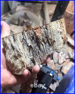 Agatized Hanksville Utah petrified wood large rough hxtled end cut