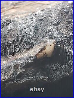 Agatized Opalized Petrified Oregon Fire-scorched Driftwood