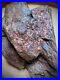 Agatized_Wood_Nodule_with_Copper_Other_Metals_Incorporatied_In_the_Fossil_01_pm