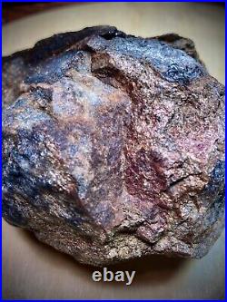 Agatized Wood Nodule with Copper & Other Metals Incorporatied In the Fossil