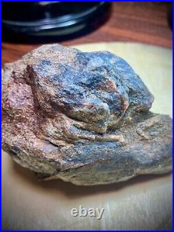 Agatized Wood Nodule with Copper & Other Metals Incorporatied In the Fossil