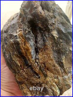Amazing & Beautiful Natural Rough Agatized Petrified Wood Large 4+ Lbs