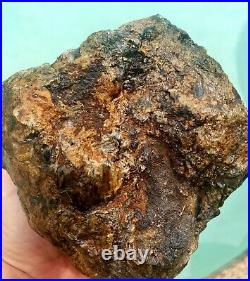 Amazing Gnarly Natural Tuolumne River Rough Agatized Petrified Wood 4+ Lbs