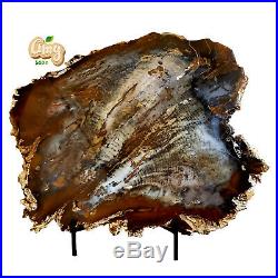 Amy Awesome Rare Hubbard BASIN Petrified Wood Slab 11-1/2 Nevada Polished