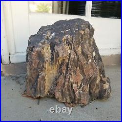 Ancient 27 lb Large natural PETRIFIED WOOD Slab stands up for display R11