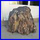 Ancient_27_lb_Large_natural_PETRIFIED_WOOD_Slab_stands_up_for_display_R11_01_qc