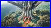 Ancient_Giant_Trees_Petrified_Overnight_Was_A_Catastrophic_Event_The_Cause_01_xya