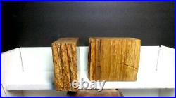 Ancient Petrified Wood Solid Pair Of Bookends