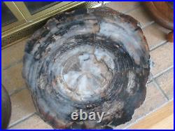 Antique Heavy Large Round Petrified Wood Slab 16 Dia. 2.5 to 4 Thick