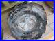 Antique_Heavy_Large_Round_Petrified_Wood_Slab_16_Dia_2_5_to_4_Thick_01_qsr