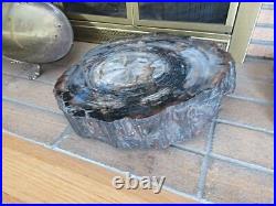 Antique Heavy Large Round Petrified Wood Slab 16 Dia. 2.5 to 4 Thick