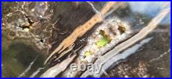 Araucaria Conifer Petrified Wood Slab Utah Polished with agate & quartz crystals