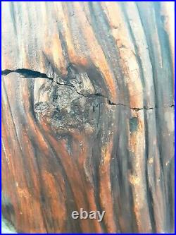 Arizona Petrified Redwood Xtra-LARGE Rough Slabs 34lbs & 35lbs @$158 per each