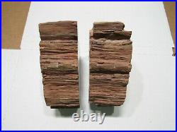 Arizona Petrified Wood BOOKENDS 5 Lbs