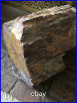 Arizona Petrified Wood. Holbrook. Professionally Polished. 16 Pounds