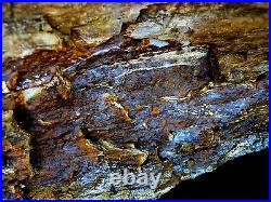 Arizona Petrified Wood Log 162 Pounds 31 x 14 Speciman Browns Grays Crystals