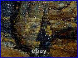 Arizona Petrified Wood Log 166 Pounds 42 x 15 Speciman Crystals Brown Tan Gray