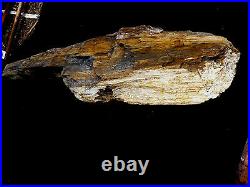 Arizona Petrified Wood Log 166 Pounds 42 x 15 Speciman Crystals Brown Tan Gray