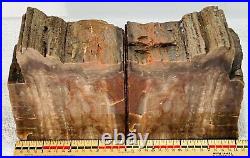 Arizona Petrified Wood Matched Bookends, 7 lbs, Original Label, Felt Bottoms
