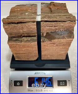 Arizona Petrified Wood Matched Bookends, 7 lbs, Original Label, Felt Bottoms