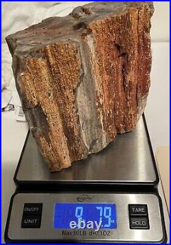 Arizona Petrified Wood Rainbow Agate Fossil 9.7 lbs. Vibrant Colors Unique HTF
