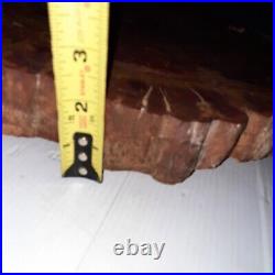 Arizona Petrified Wood Round Slab Polished Table Top 16.5x15 1/4x 2 30lbs-2oz