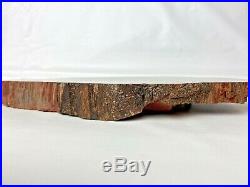 Arizona Petrified Wood, large slab12.5''x 8.5'' 1 Side Polished